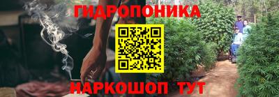 каннабис Гай